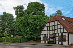 eiche-in-spenge